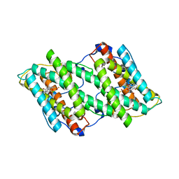 BU of 3vva by Molmil