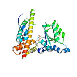 BU of 3whl by Molmil