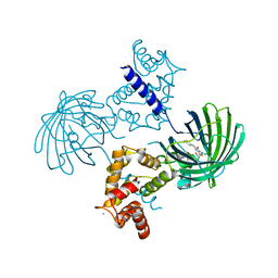 BU of 3wlc by Molmil