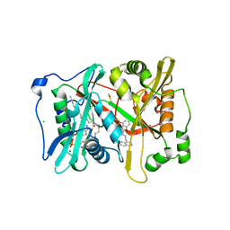 BU of 4b11 by Molmil