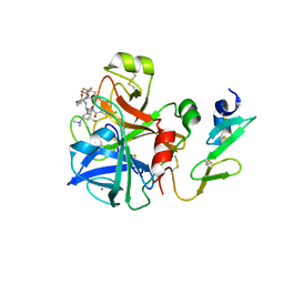 BU of 4bti by Molmil