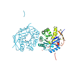 BU of 4c6b by Molmil