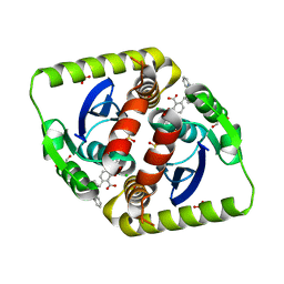 BU of 4ced by Molmil