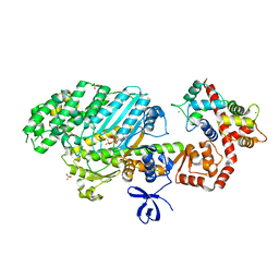 BU of 4dbq by Molmil