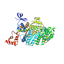 BU of 4dbr by Molmil