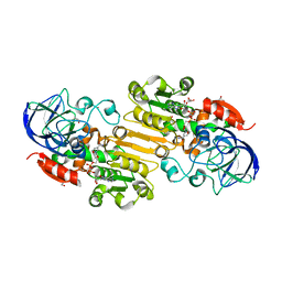 BU of 4dlb by Molmil