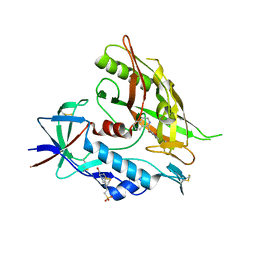 BU of 4dvt by Molmil