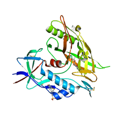 BU of 4dvv by Molmil