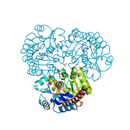 BU of 4ex8 by Molmil