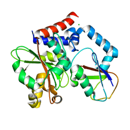 BU of 4fbj by Molmil