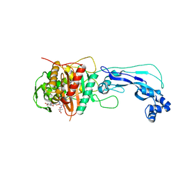 BU of 4fsf by Molmil