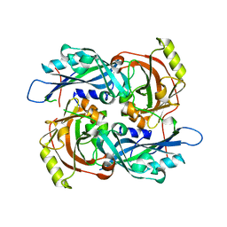 BU of 4g1l by Molmil