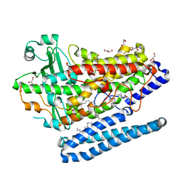 BU of 4g32 by Molmil