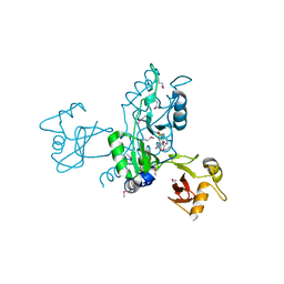 BU of 4hg0 by Molmil