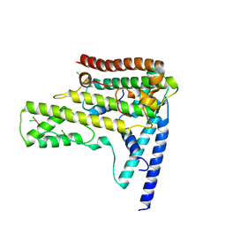 BU of 4hga by Molmil