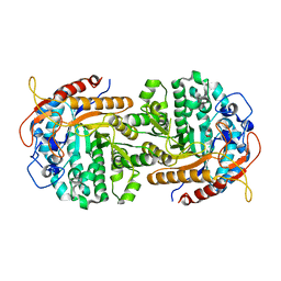 BU of 4ipl by Molmil