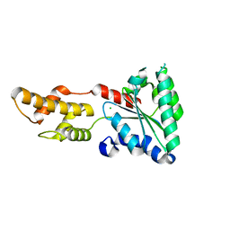 BU of 4lcb by Molmil