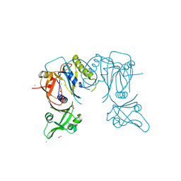 BU of 4ldv by Molmil