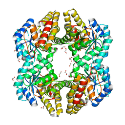 BU of 4oe7 by Molmil