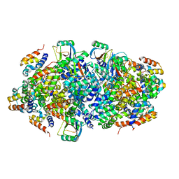 BU of 4p4h by Molmil