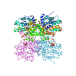 BU of 4pfj by Molmil