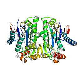 BU of 4pu6 by Molmil