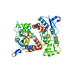 BU of 4q30 by Molmil