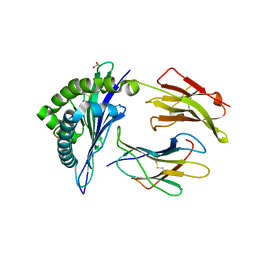 BU of 4qrt by Molmil