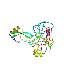 BU of 4tpi by Molmil