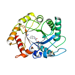 BU of 4txe by Molmil