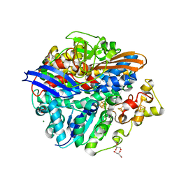 BU of 4ucx by Molmil