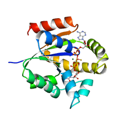 BU of 4ukd by Molmil