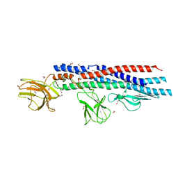 BU of 4ut1 by Molmil