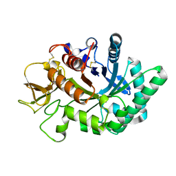 BU of 4wkf by Molmil