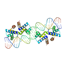 BU of 4x4i by Molmil