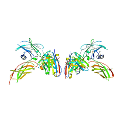 BU of 4y5y by Molmil