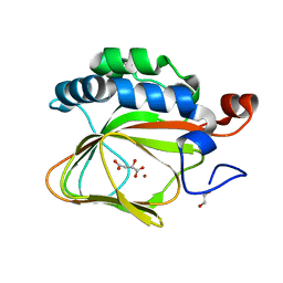 BU of 5apa by Molmil