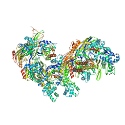 BU of 5cd4 by Molmil