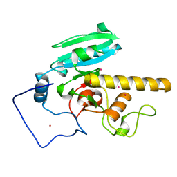 BU of 5cmh by Molmil