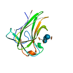 BU of 5dpn by Molmil