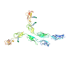 BU of 5erp by Molmil