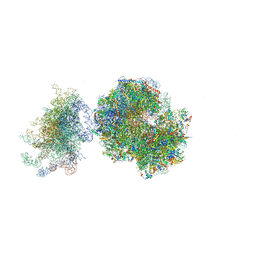 BU of 5fci by Molmil