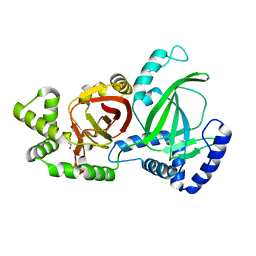 BU of 5gtt by Molmil