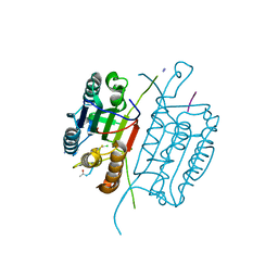 BU of 5ibp by Molmil