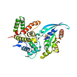 BU of 5irc by Molmil