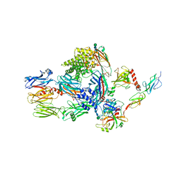 BU of 5jpm by Molmil