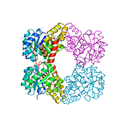 BU of 5ktl by Molmil