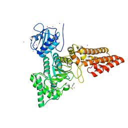 BU of 5oxd by Molmil