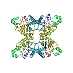 BU of 5pgm by Molmil