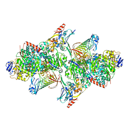 BU of 5t5i by Molmil